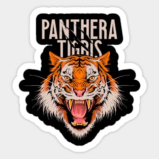 Panthera Tigris Sticker